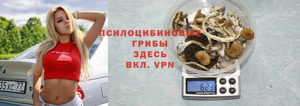 гидропоника Алексин