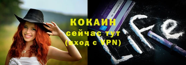 гидра Алзамай