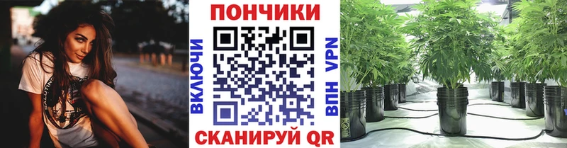 Бошки Шишки LSD WEED  Ейск 